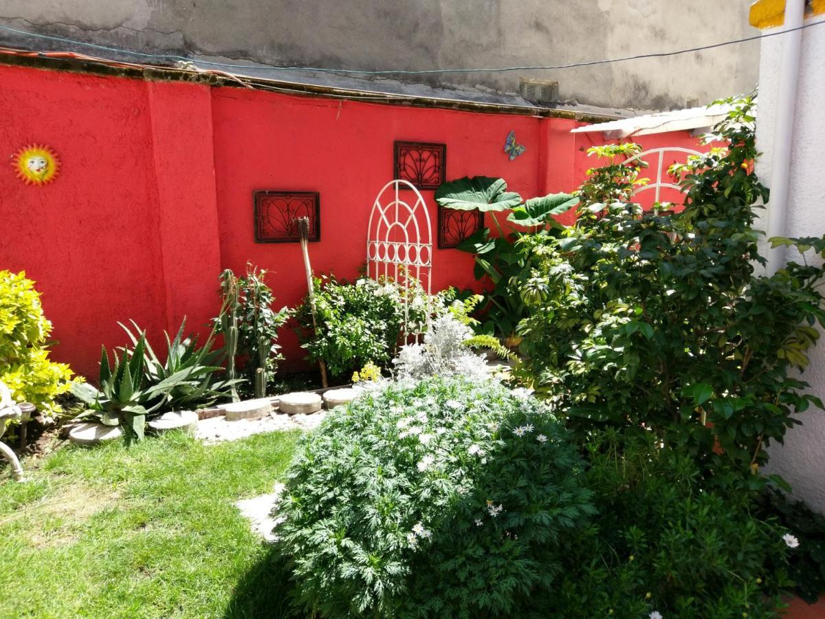 Anys Hostal Mexico City Exterior photo